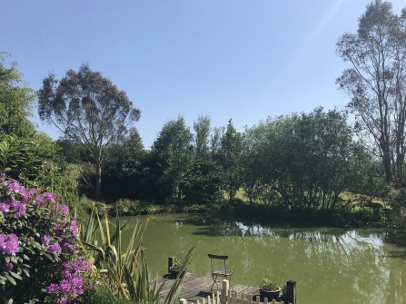 Tranquility at Little Park Farm Open Garden