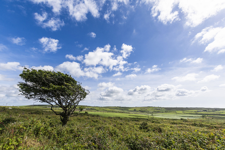 Bostraze Landscape by Ben Watkins