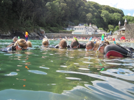 Cornwall Wildlife Trust Snorkel Safari. Photo by Abby Crosby