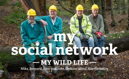 Mike, Bernard, John and John sat on a tree with hard hats on