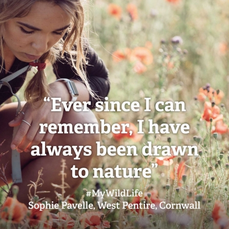 2_ Sophie Pavelle My Wild Life quote 1 by Jack Johns