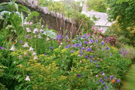 Garden Flowers