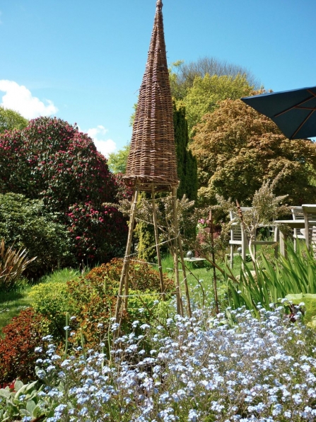 Garden Flowers