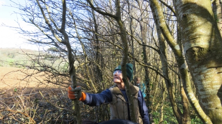 Work on hedges