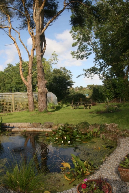 The pond at Meadowside