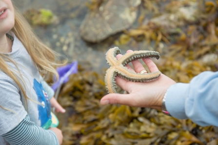 Up close to a starfish - photo credit Frugi