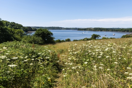 Wildlife friendly at CWT Churchtown Farn Nature Resrve by Ben Watkins