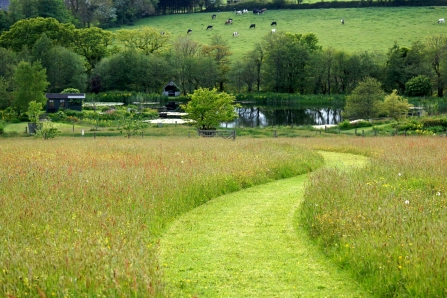 Paths lead the way at Lethytep by Philip Hambly 