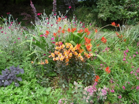 Rainbow colour at South Bosent