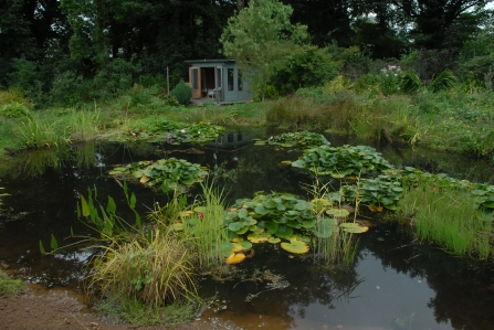 Pond at South Bosent