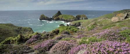 The Lizard becomes one of the largest National Nature Reserves in the South West