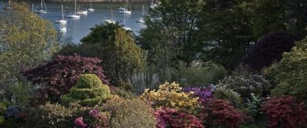 Cornwall’s wildlife gardens open for the Trust