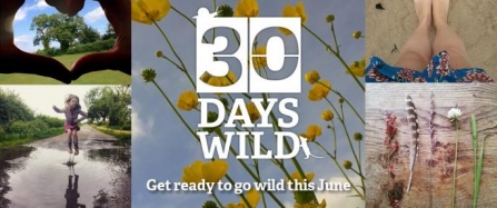 30 Days Wild in Cornwall