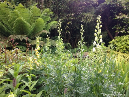 Three seasons of Cornish colour