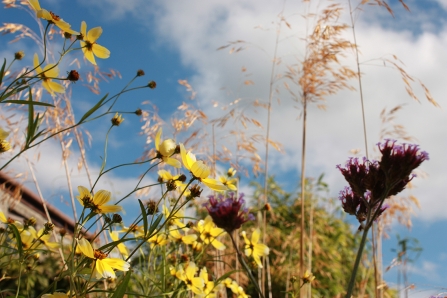 Constantine’s magical garden