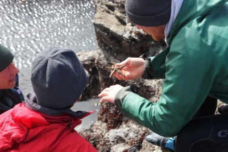 Taking rockpooling to extremes