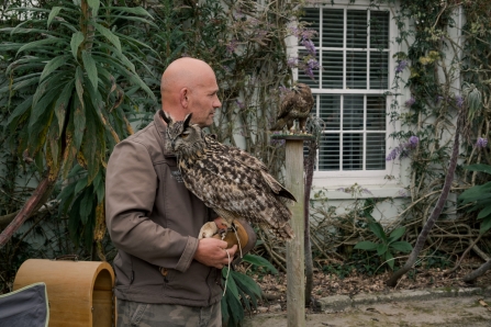 Inspired by wildlife at Trebah