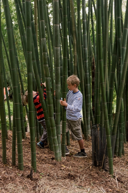 Inspired by wildlife at Trebah