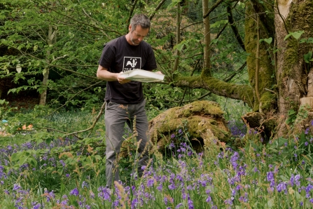 Inspired by wildlife at Trebah