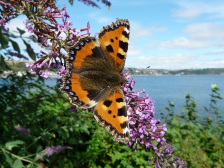 Stunning Island Nature Reserve Opens For Season