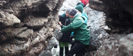 Taking rockpooling to extremes