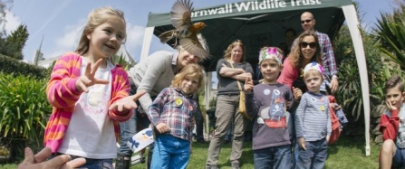 Celebrate Cornwall’s wildlife with the Trust