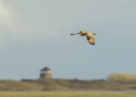 The Lizard becomes one of the largest National Nature Reserves in the South West