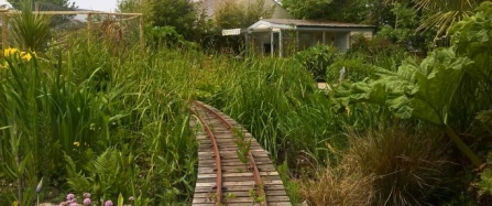 Ride the train through Wildflower Garden