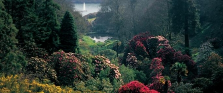 Celebrate Cornwall’s wildlife with the Trust