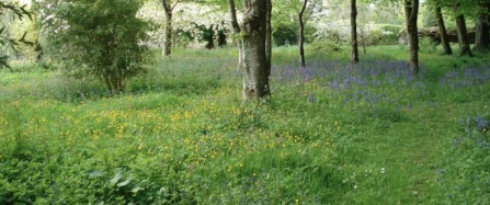 Historic estate and bluebell woodland begins Trust Open Gardens