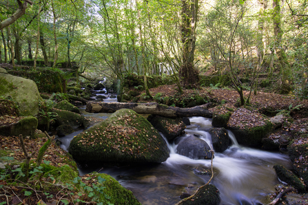 Kennal Vale by Adrian Langdon