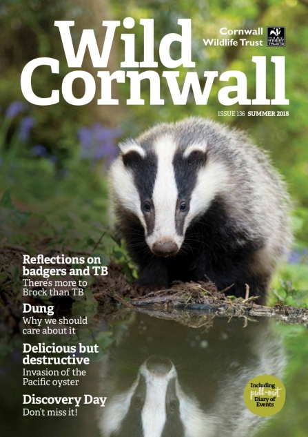 Wild Cornwall - Issue 136 - Summer 2018