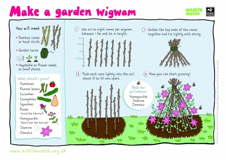 Make a garden wigwam