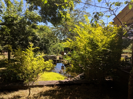 Tropical scenes at Trevoole with blue skies and lush shrubs and trees