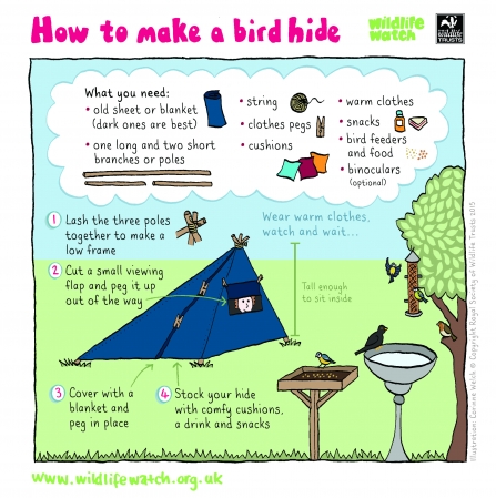 How to make a homemade bird hide