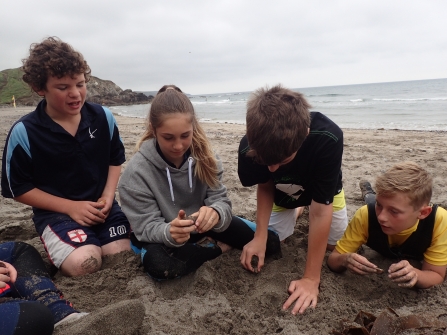 Mullion School Beach Activity Day - discussing strandline finds