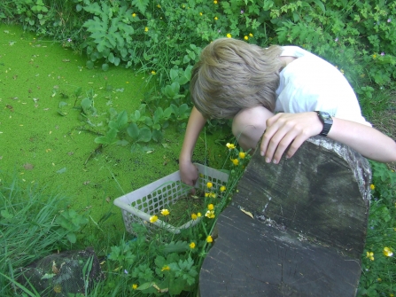 Ponds introduce children to wildlife
