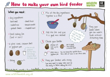 Wildlife Watch - How to make your own bird feeder activity sheet
