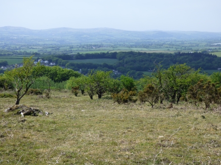 a view out onto the landscape from bodmin moor - cropped green grass in the foreground gives way to lush shrubs and a sea of dark greens and browns beyond before opening out to the patchwork of farmers fields and a hazy grey distant sky