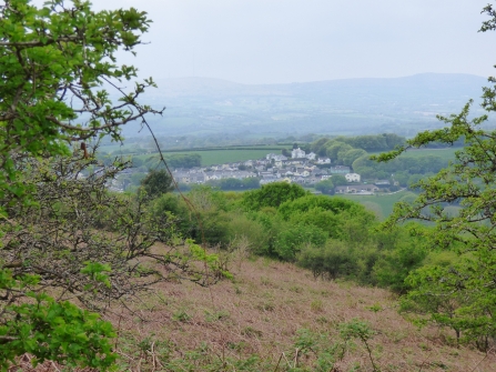 Lockdown_view past our village to Bodmin Moor_Rowena Millar