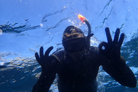 the silhouette of a snorkeler signing "ok" as they swim through crystal clear water
