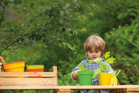 Young boy planting seeds