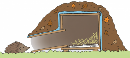 Illustration of a Hedgehog and a Hedgehog home