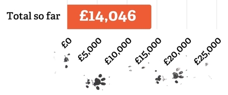 Hedgehog Appeal update