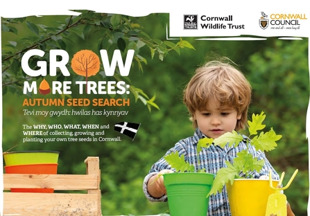 Autumn Seed Search Poster