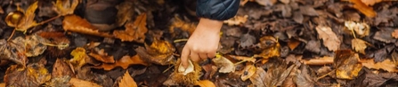Child with leaves by Helena Dolby for Sheffield & Rotherham Wildlife Trust
