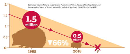 Hedgehogs in decline