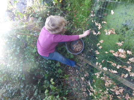 Standing at the edge of the pond collecting leaves and acorns