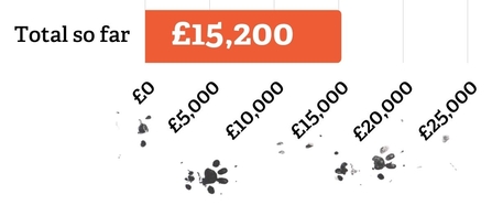 Hedgehog Appeal total at 27th November - £15,200