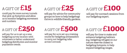 Hedgehog Appeal Targets